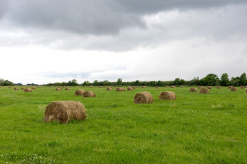 Hay bales on green field under cloudy sky