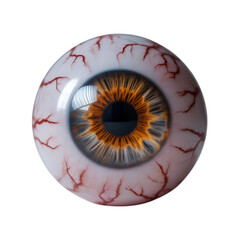 Photorealistic CGI eyeball showing iris texture, sclera and veins—ideal for medical, educational, or horror concepts.