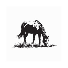 Silhouette of a Horse Eating Grass in a Field