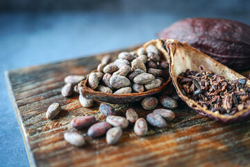 cocoa bean and cocoa nibs, cacao pods