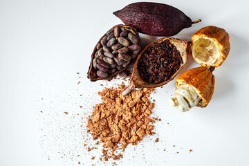 Top view of cocoa powder with cocoa bean and cut in half cacao pods, cocoa nibs on white background