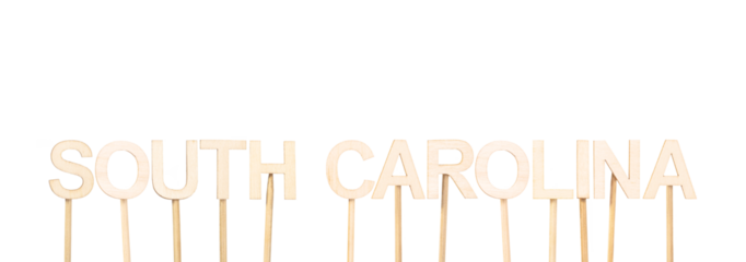 South Carolina (US state) formed letter by letter with light wood, an ideal image for school maps, primary education, or editorial design with a geographical focus