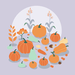 Autumn harvest display of various pumpkins, gourds, and corn in a flat style illustration. A collection of fall produce with a pastel purple background.