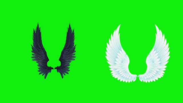 Angel birds flying wings animation video green screen.