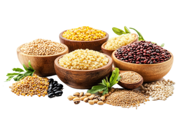 Assorted legumes in wooden bowls arrangement against transparent background