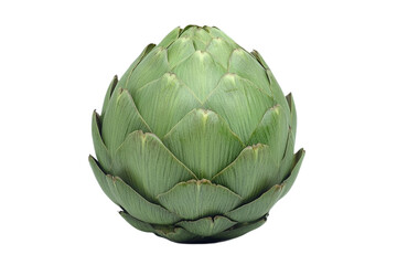 Obraz premium Fresh ripe artichoke, healthy edible vegetable, studio shot on transparent background