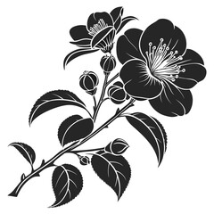 black and white flower