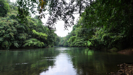 The view of Kallar river from the area of Adavi Eco Tourism, Pathanamthitta, Kerala, India