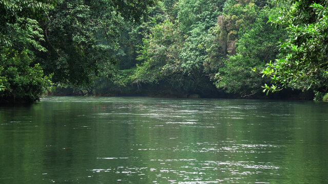 The view of Kallar river from the area of Adavi Eco Tourism, Pathanamthitta, Kerala, India