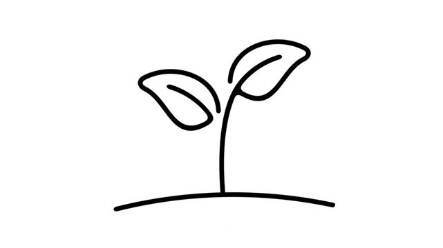 Sprout grows out of soil, graphic animation. Alpha channel. Black linear. Transparent background motion design. 4K resolution