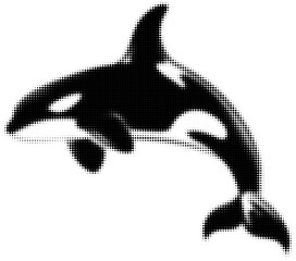 Obraz premium Black and white halftone design of an orca in playful pose, digital art