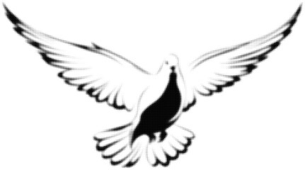 Fototapeta premium Stylized black and white dove in flight symbolizing peace and freedom