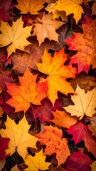 Fototapeta premium Vibrant autumn leaves blanket the ground in warm hues