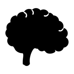 Monochrome depiction of a human brain showcasing its lobes and structure