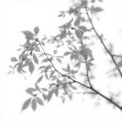 shadow overlay effect. Gray shadow of leaves isolated on white background. 
Plant foliage leaf shadow light effect. Mockup Blurred tree branch shadow. Ideal for summer spring design elements PNG