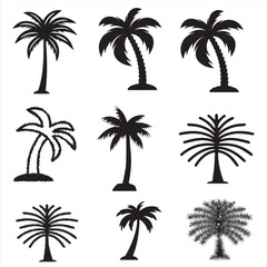A black silhouette of a tropical palm tree with large, spiky leaves and a curved trunk