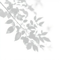 Fototapeta premium shadow overlay effect. Gray shadow of leaves isolated on white background. Plant foliage leaf shadow light effect. Mockup Blurred tree branch shadow. Ideal for summer spring design elements PNG