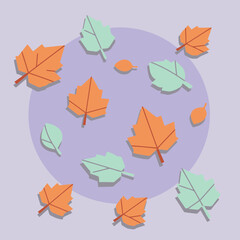 Autumn leaves in a variety of colors, scattered on a soft purple background, scattered and falling in an abstract design. Colorful seasonal foliage in a flat lay, graphic illustration.
