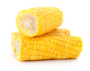 Sweet corn cobs isolated on white background