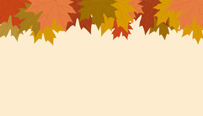 Autumn leaves in a decorative frame. Maple leaves in various autumn shades. Isolated vector illustration.