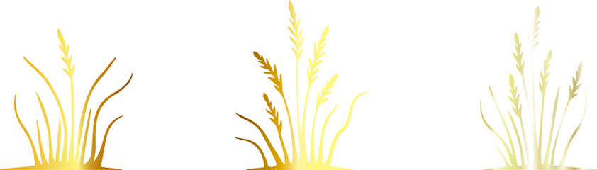 Vector outlined icon png set on transparent background