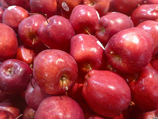 Fresh and Juicy Red Apples. 
Bright red apples piled together, showcasing their smooth skin and vibrant color.