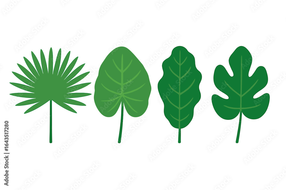 Aufkleber different types of green leaves displayed in a row with distinct shapes and sizes on a white backgro