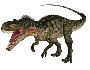 A ferocious dinosaur, profile view