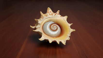 Obraz premium Blue damselfly rests on a lily pad with reflection in water