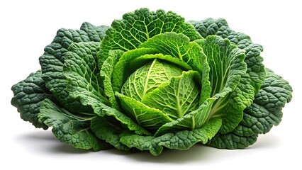 Obraz premium Fresh green savoy cabbage isolated on white background