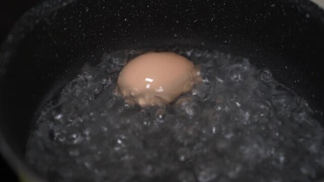 Close-up of one chicken egg boiling in stainless pan with hot water and bubbles. Brown shell egg boil, tasty nutrition and protein, healthy food ingredient