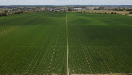 Aerial Drone View of Precision Agriculture in Eco Farm