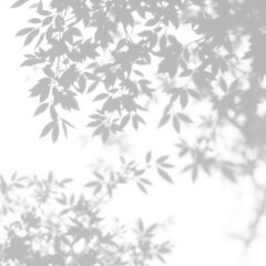 shadow overlay effect. Gray shadow of leaves isolated on white background. 
Plant foliage leaf shadow light effect. Mockup Blurred tree branch shadow. Ideal for summer spring design elements PNG