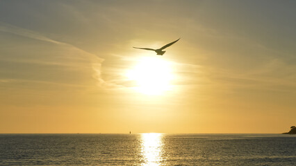 Paysage de Corse Ajaccio