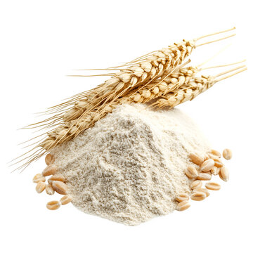 Creamy, powdery flour with wheat on black showcases food ingredients. Ideal for product photography, recipe posters, and culinary branding.