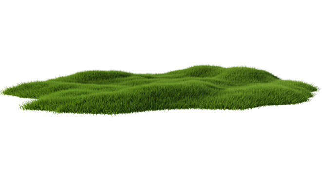 Green grassland landscape isolated on transparent
background

