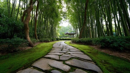 A winding stone path meanders gently through a dense grove of tall bamboo stalks