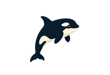 orca whale vector