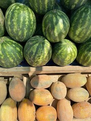Top half of the frame filled with watermelons, bottom half with melons. Fresh summer fruits...