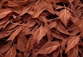 Velvety soft strands of burnt sienna undulate like the gentle ru