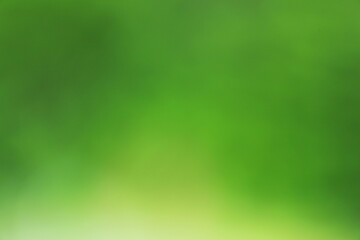 緑のグラデーションが美しい背景イメージ