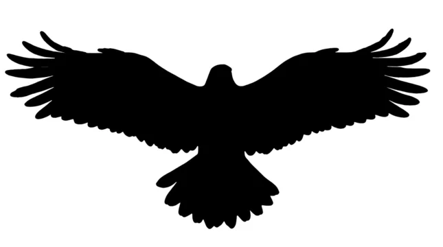 Gobo texture dramatic flying eagle shape in monochrome
