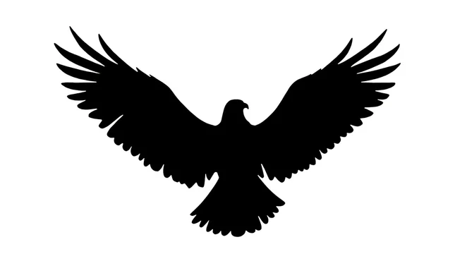 Soaring eagle gobo texture with clean contrast