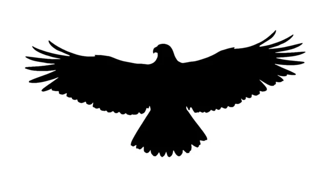 Gobo texture Black eagle silhouette in flight on white background