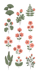 Collection of beautiful botanical illustrations featuring coral flowers and green foliage
