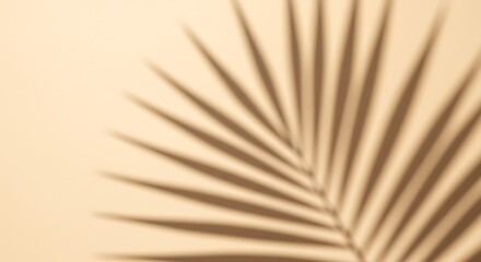Tropical palm leaf shadow on beige wall creates a summer feeling