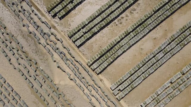 Ria Formosa riverbed at low tide, with shellfish production and yachts anchored in the river in Algarve, Portugal