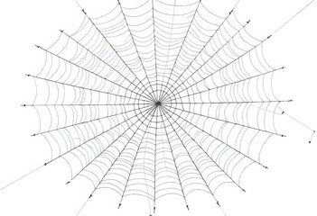 Obraz premium Thought Web A spider web of interconnected ideas spreads across