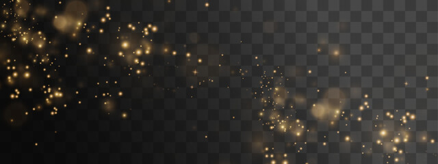 Dust, gold, sparkle, light, magic in PNG particles. This PNG Overlay with transparent background creates a glamorous, bright, and festive look for luxury celebration design