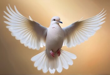 Fototapeta premium Dove A symbol of peace love and purity representing the gentle a